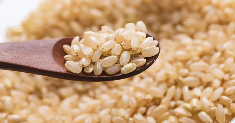 高血圧と心臓病の方の、自宅でできる『塩分制限』のポイントとは？