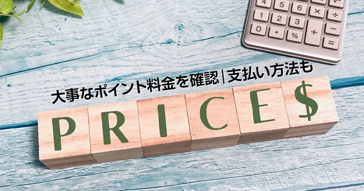 大事なポイント料金を確認｜支払い方法も