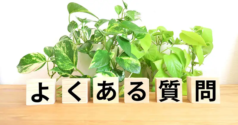 三ツ星ファームのよくある質問