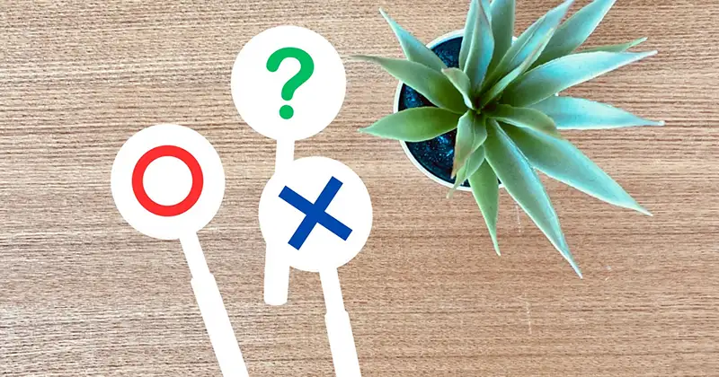 メディカルフードサービス健康うちごはんの口コミ・評判