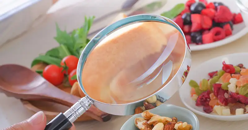 メディカルフードサービス『健康うちごはん』を他社と比べてみる