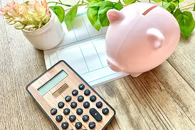 健康うちごはん・デメリット❶値段