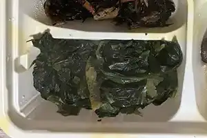 副菜３：ほうれん草のおひたし