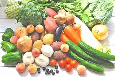 野菜不足を解消できる