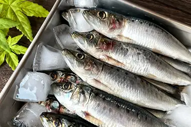 ❷『プロテインスコア』を参考にするメリット