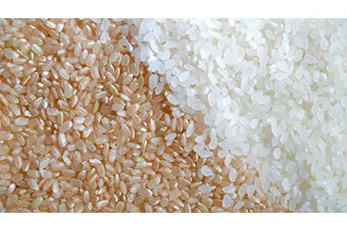 玄米の糖質量は白米と同じ