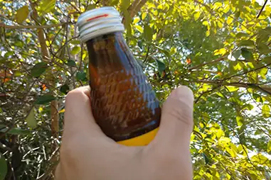 （２）隠れ糖質摂取の犯人を特定する